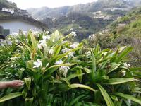 Wanderung von Marocos nach Machico