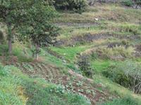 Wanderung von Marocos nach Machico