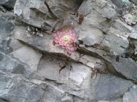 Wanderung von Marocos nach Machico