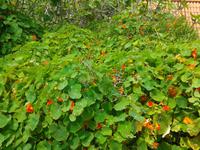 Wanderung von Marocos nach Machico