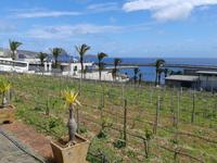 Weinprobe bei Vinhos Beijo