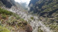Wanderung vom Pico Arieiro zum Pico Ruivo