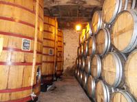 auf der Quinta do Tedo