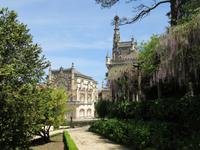 Parque von Bussaco