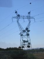 WG Leben der Störche