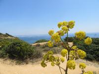 In der Nähe von Lagos