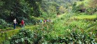 121 Levada Wanderung am Neujahrstag
