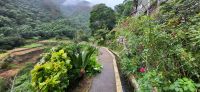 125 Levada Wanderung am Neujahrstag