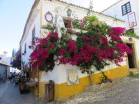 In der Königsstadt Obidos