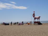 Am Strand von Nazare