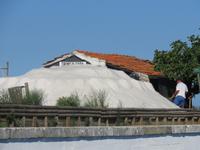 Saline in Aveiro