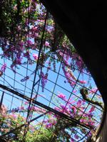 Kahnfahrt in Aveiro – dem Venedig Portugals