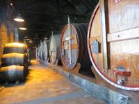 Führung in der Kellerei von Burmester