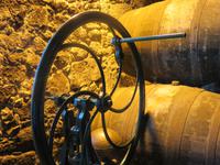 Führung in der Kellerei von Burmester