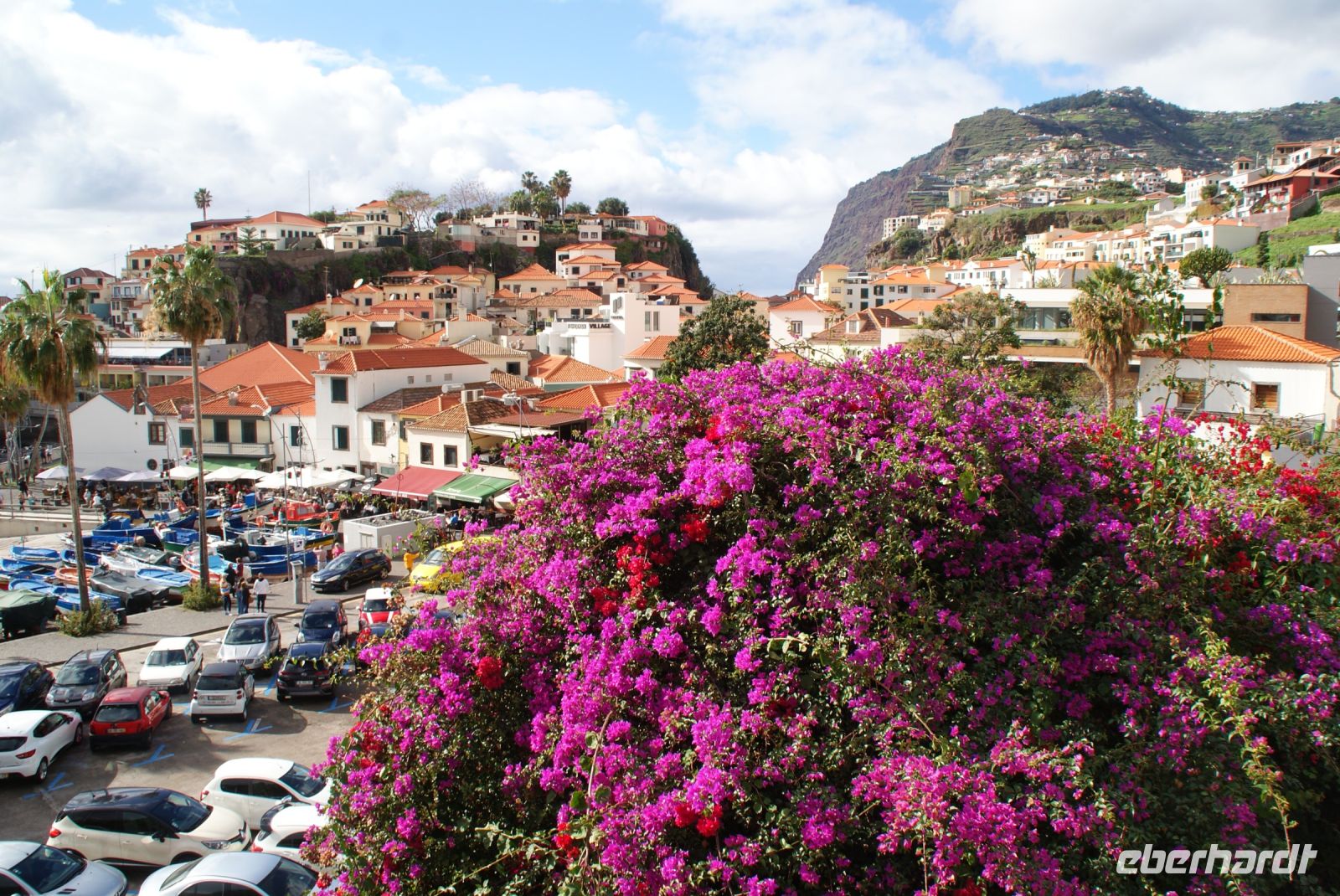 126 Camara de Lobos