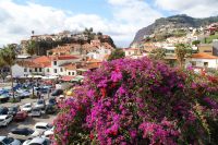 126 Camara de Lobos