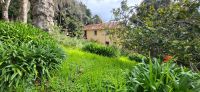 126 Palheiro Garden