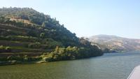 Douro 16