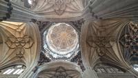 Kathedrale in Salamanca 6