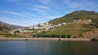 Douro 36