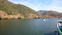 Douro 337