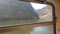 Blick vom Zug auf den Douro