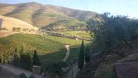 Landschaft am Douro 71