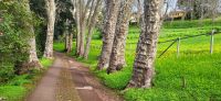 128 Palheiro Garden