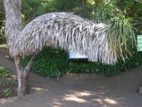 Botanischen Garten Funchal