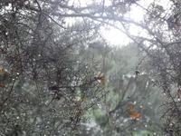 Wanderung in Camacha