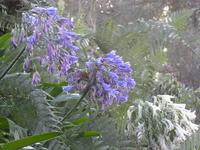 Wanderung in Camacha