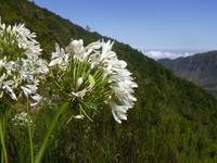Hochebene Paul da Serra