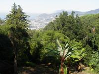 Blick auf Funchal