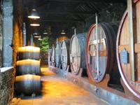 In der Weinkellerei