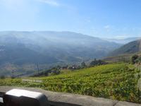 Douro Region - Panoramablick