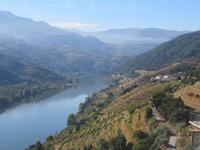 Blick auf den Douro mit seinen Weinhängen