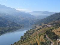 Blick auf den Douro mit seinen Weinhängen