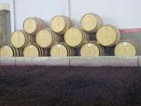 Weinkellerei Pacheca