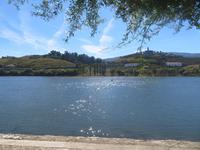 Spaziergang am Douro