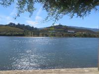 Spaziergang am Douro