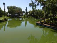 Stadtpark von Funchal