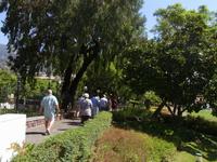 Stadtpark von Funchal