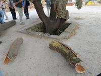 Besuch einer Korkfabrik