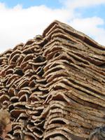 Besuch einer Korkfabrik