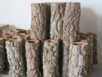 Besuch einer Korkfabrik