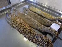 Fischmarkt in Funchal