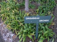 Botanischen Garten Funchal