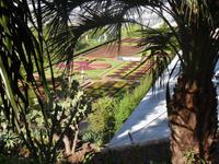 Botanischen Garten Funchal