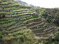 Wanderung auf der Levada von Marocos
