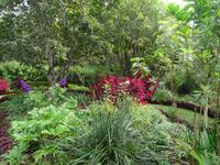 Quinta do Palheiro = Blandy's Garten 